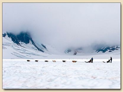 Dog sled team on Norris Glacier in the Juneau Icefield